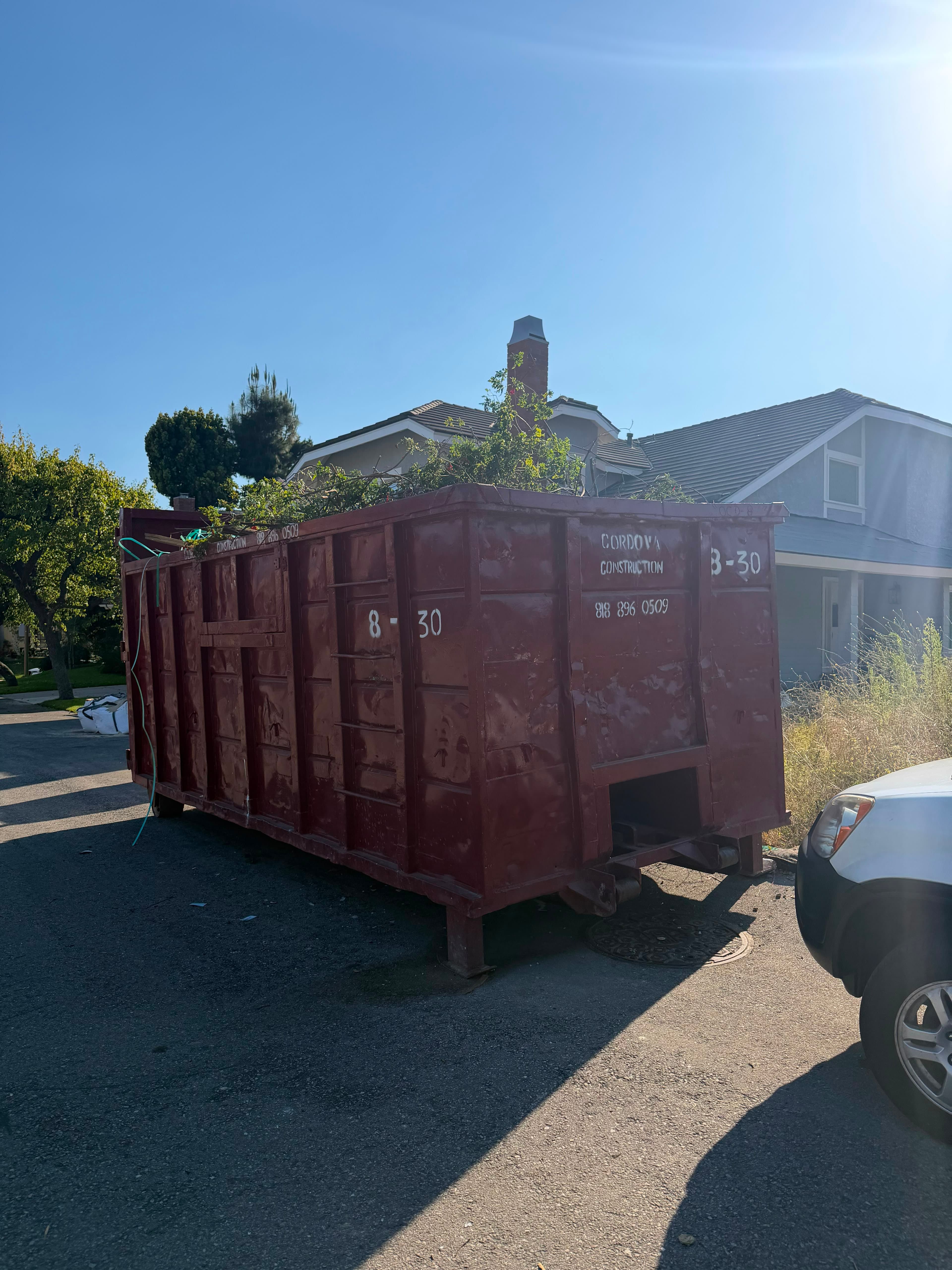 Junk Removal vs. Dumpster Rental: Which One Do You Need?